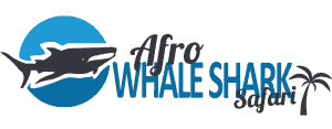 Afro Whale Shark Safari